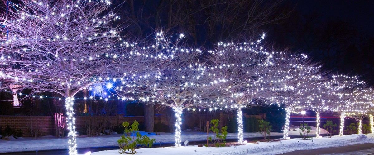 Denver Christmas Lights Installation