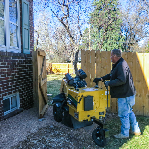 Our stump grinders can get through small gates.