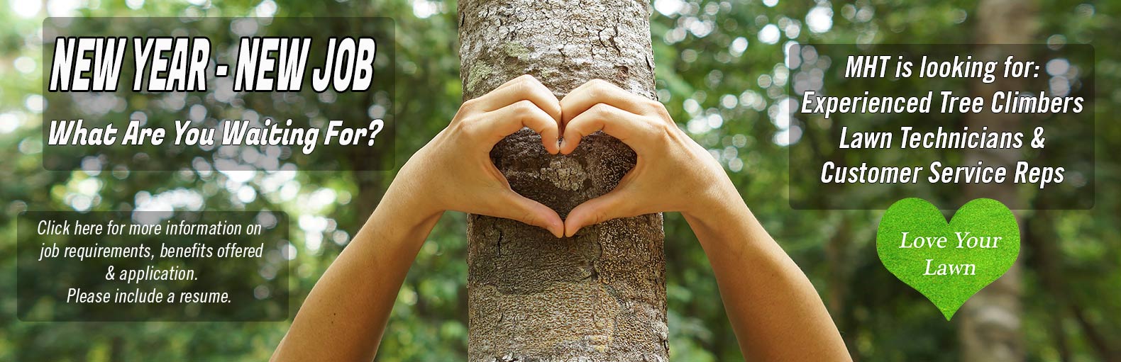 Denver Lawn Care Denver Tree Service Denver Lawn Fertilizer