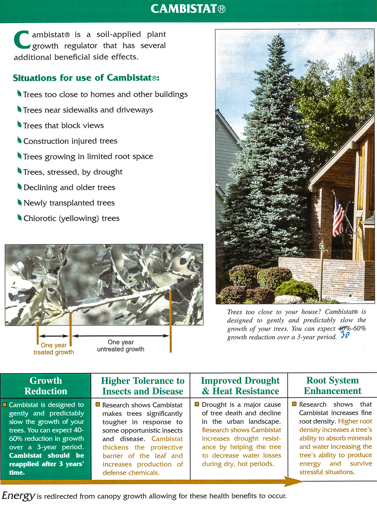 Tree Growth Regulator Mountain High / SavATree